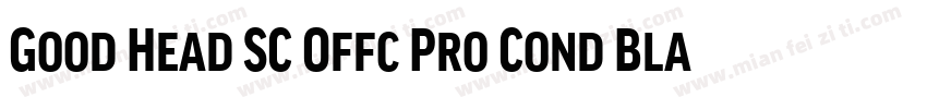 Good Head SC Offc Pro Cond Black字体转换
